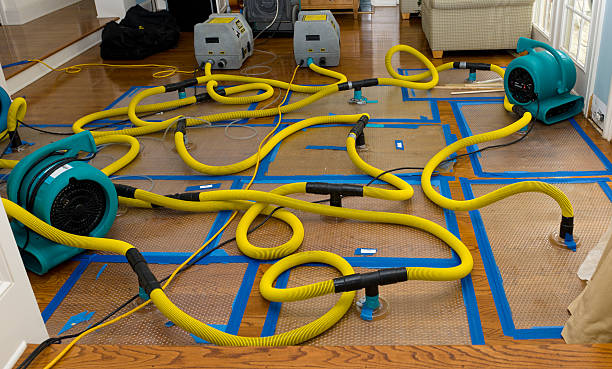 Professional Burst Pipe Water Damage technician working in Martin, SC